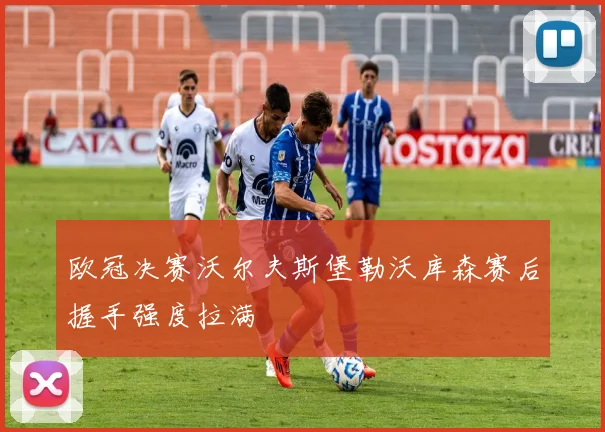 欧冠决赛沃尔夫斯堡勒沃库森赛后握手强度拉满