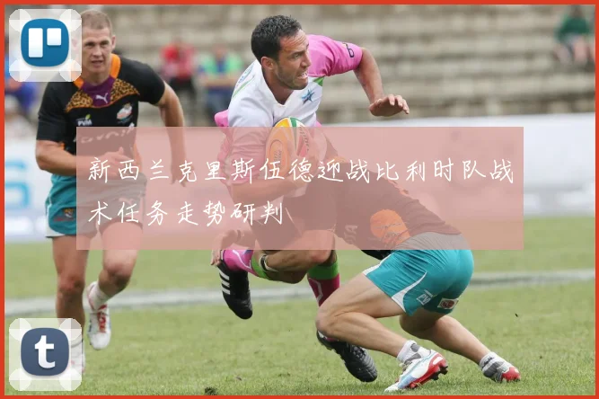 新西兰克里斯伍德迎战比利时队战术任务走势研判
