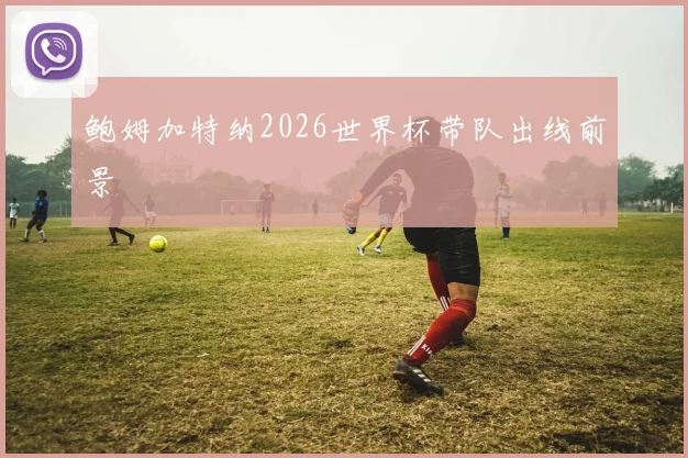 鲍姆加特纳2026世界杯带队出线前景