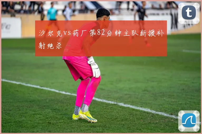 沙尔克vs药厂第82分钟主队新援补射绝杀