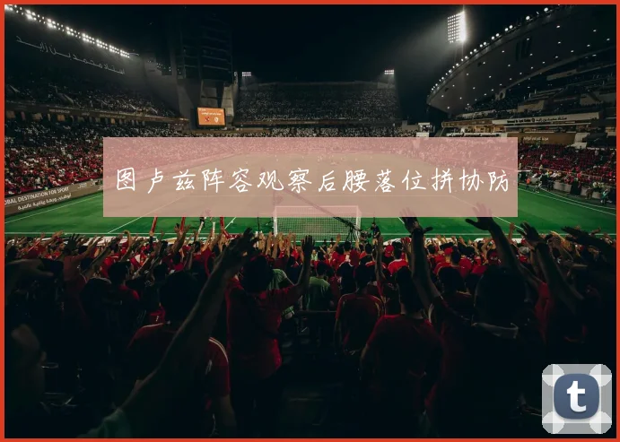 图卢兹阵容观察后腰落位拼协防