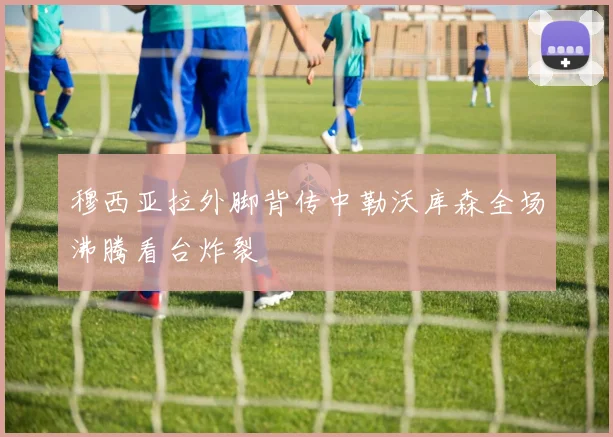 穆西亚拉外脚背传中勒沃库森全场沸腾看台炸裂
