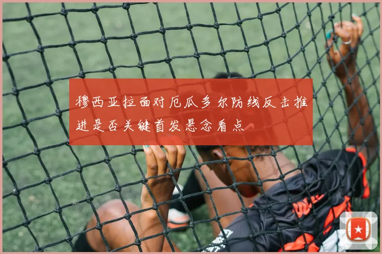 穆西亚拉面对厄瓜多尔防线反击推进是否关键首发悬念看点